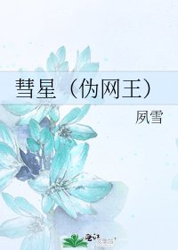 彗星(伪网王)